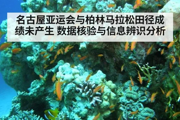 名古屋亚运会与柏林马拉松田径成绩未产生 数据核验与信息辨识分析